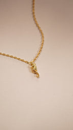 Necklet Mini Denizatı Kolye