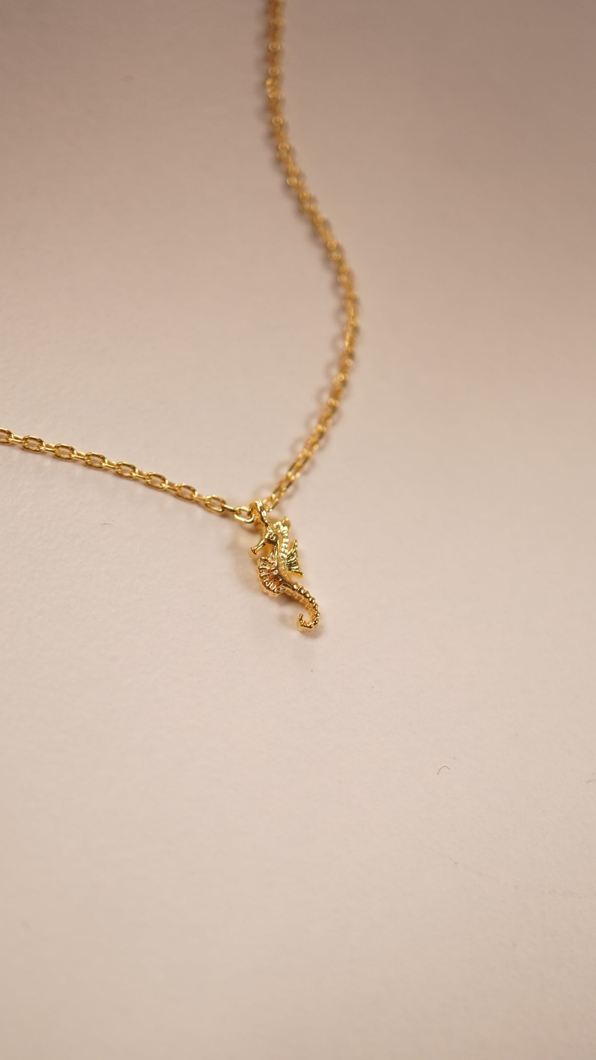 Necklet Mini Denizatı Kolye